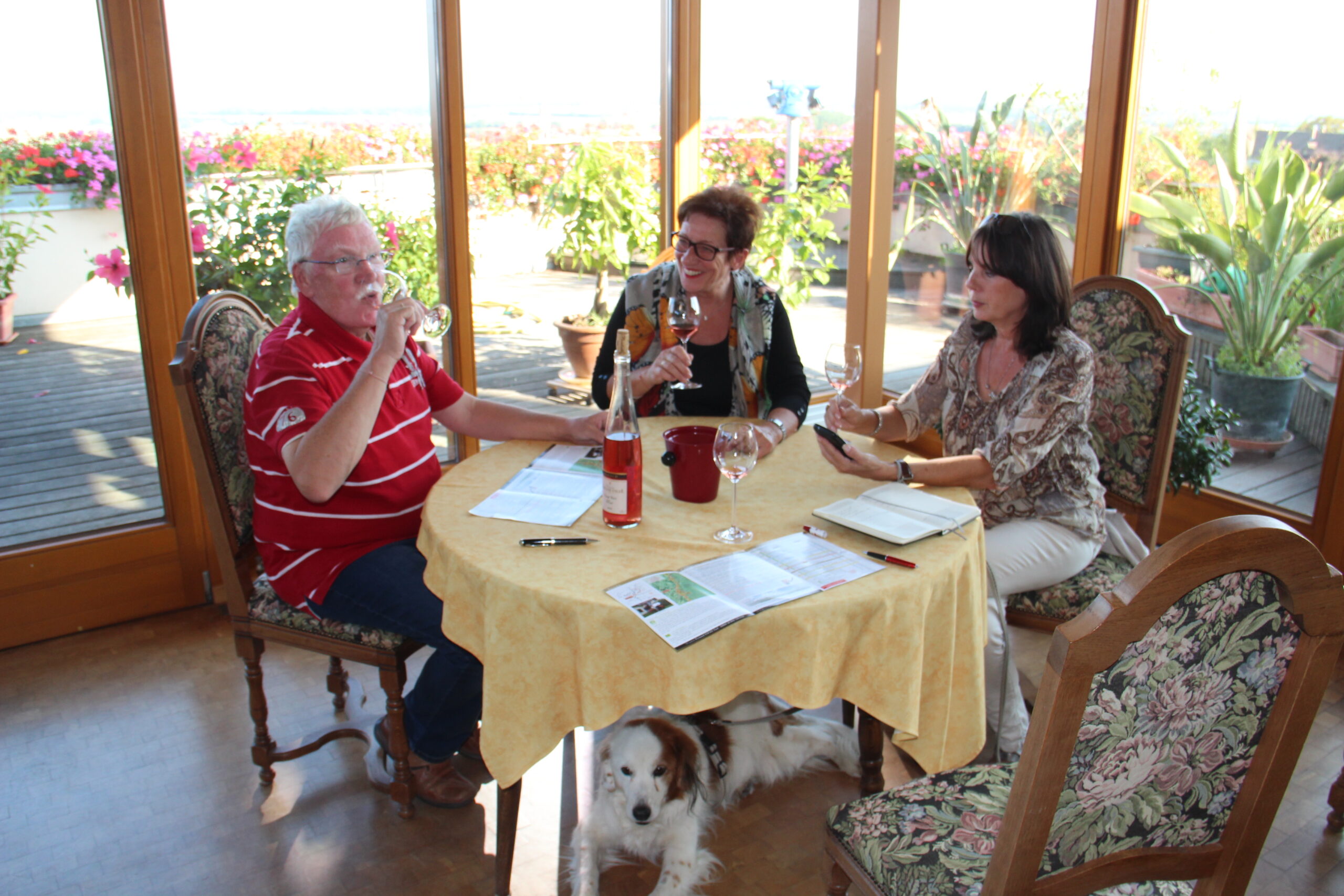 Elsass_IMG_0507